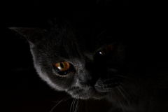 IMG-20220317-WA0022