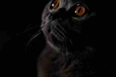 IMG-20220317-WA0023